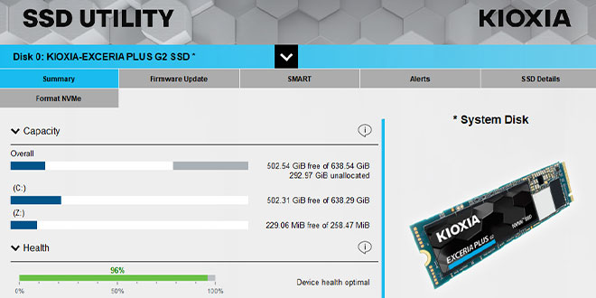 Screen image - Summary